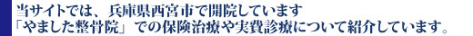 当サイトでは、兵庫県西宮市で開院しています「やました整骨院」での保険治療や実費診療について紹介しています。